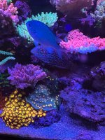 IMG_3783.jpeg