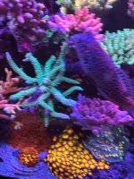 IMG_3784.jpeg