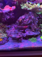 IMG_3782.jpeg