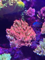IMG_3778.jpeg