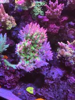 IMG_3777.jpeg