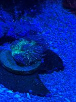 IMG_3769.jpeg
