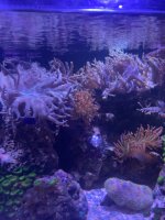 IMG_8047.jpeg
