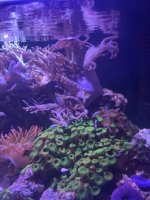 IMG_8048.jpeg