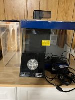 IMG_1555.jpeg