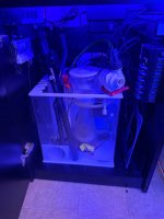 IMG_1877.jpeg