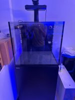 IMG_1876.jpeg
