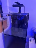 IMG_1878.jpeg