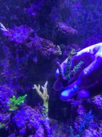 IMG_8433.jpeg
