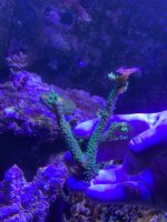 IMG_8432.jpeg