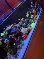 IMG_0086.JPG