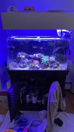 IMG_1708.JPEG