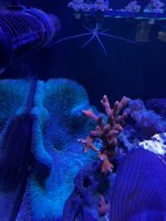 IMG_0560.jpeg