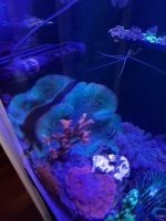 IMG_0562.jpeg