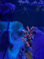 IMG_0561.jpeg