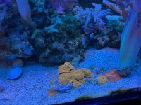 IMG_0060.jpeg