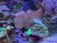 IMG_0058.jpeg