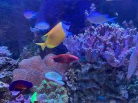 IMG_0049.jpeg