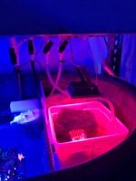 IMG_6740.jpeg
