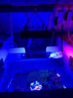IMG_6739.jpeg