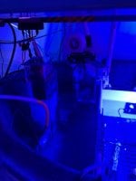 IMG_6738.jpeg