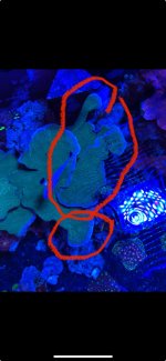IMG_1321.jpeg