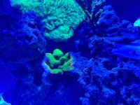 IMG_2662.jpeg