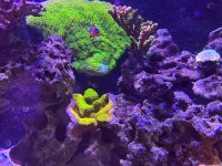 IMG_2648.jpeg