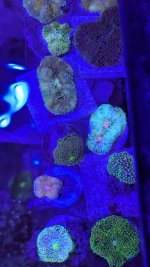 PXL_20241206_181516262.jpg