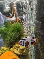 IMG_0167.jpeg