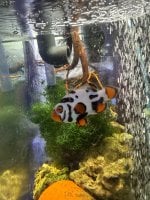 IMG_0163.jpeg