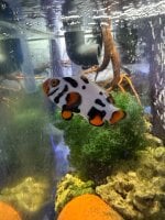IMG_0160.jpeg