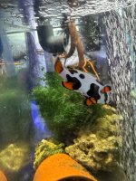 IMG_0162.jpeg