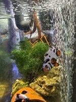 IMG_0165.jpeg