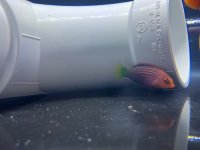 IMG_9130.jpeg