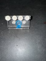 IMG_1006.jpeg