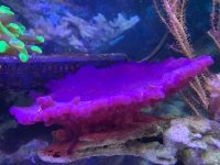 IMG_2745.jpeg