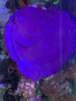 IMG_2746.jpeg