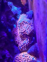IMG_8076.jpeg
