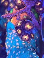 IMG_8079.jpeg
