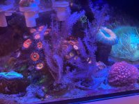 IMG_8080.jpeg