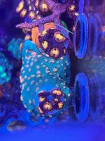 IMG_8090.jpeg