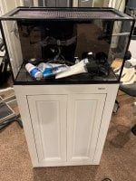 IMG_1622.jpeg