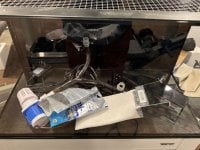 IMG_1623.jpeg