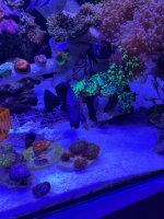 IMG_4623.jpeg