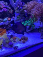 IMG_4622.jpeg