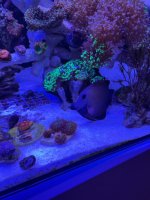 IMG_4619.jpeg