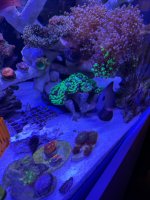 IMG_4617.jpeg