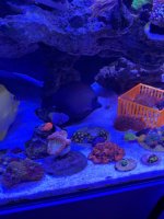IMG_4616.jpeg