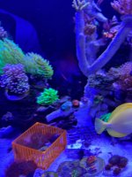 IMG_4615.jpeg